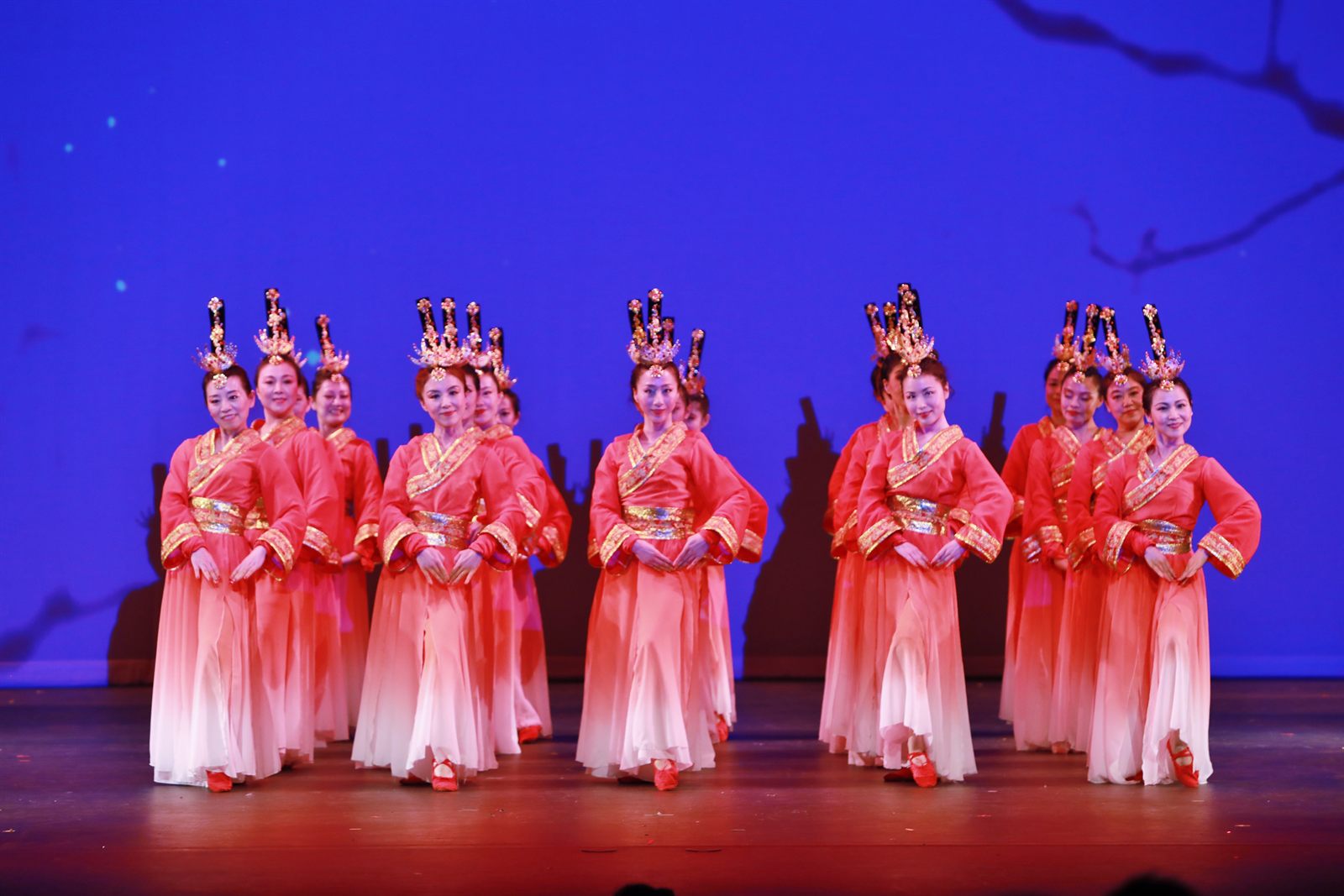 SDCAA 2017 National Day stage performance